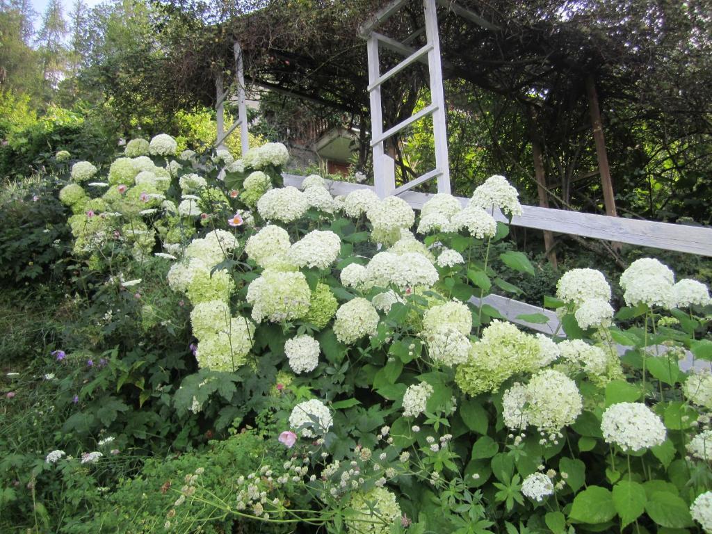 הוילה פילה Il Giardino Dell'Artemisia מראה חיצוני תמונה