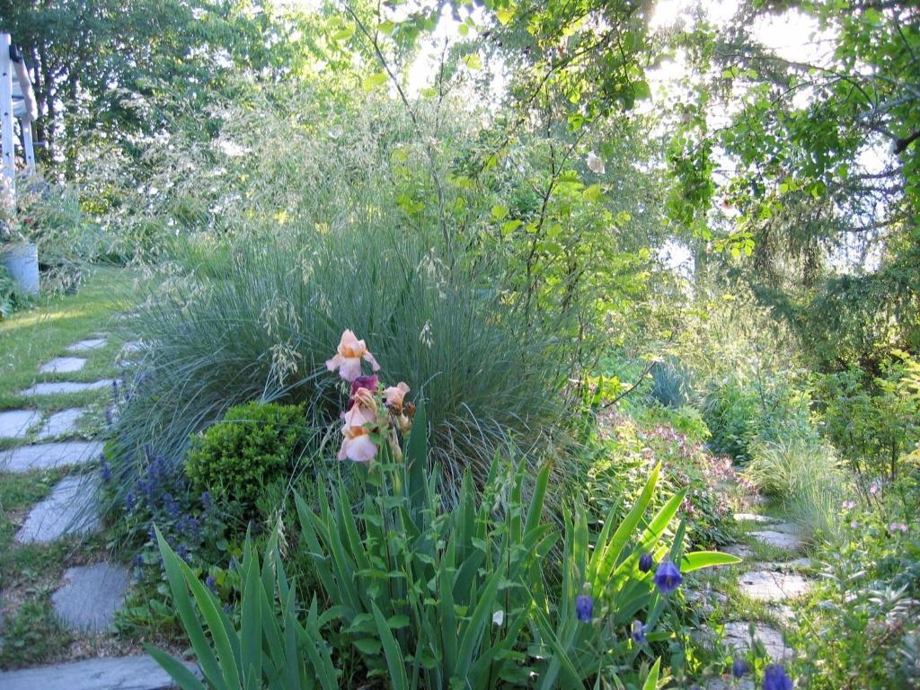 הוילה פילה Il Giardino Dell'Artemisia מראה חיצוני תמונה